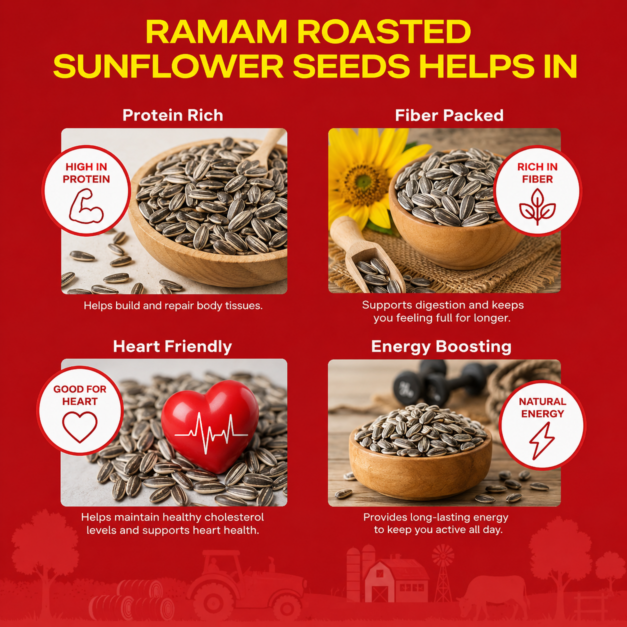 Ramam Roasted Sunflower Seed Kernels - 300g