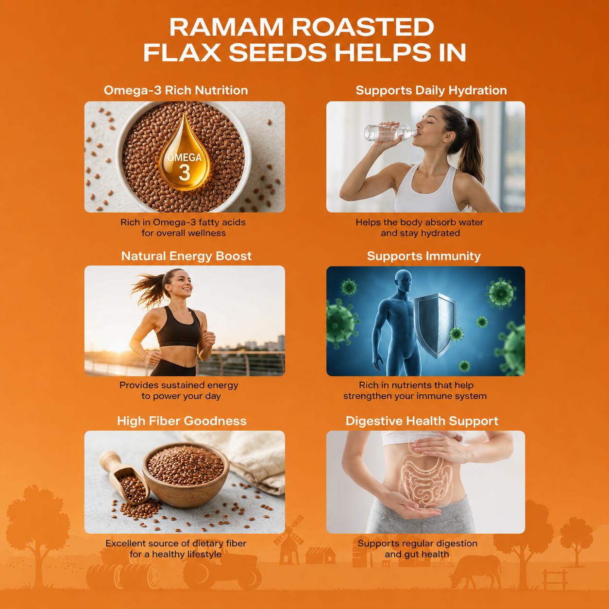 Ramam Roasted Flax Seeds 200g